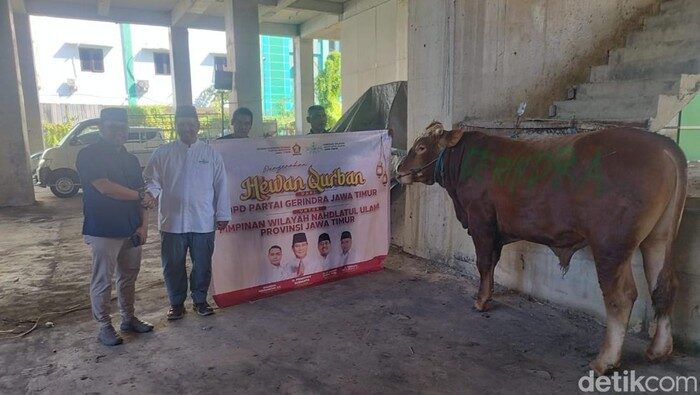 DPD Gerindra Jatim Bagikan Ratusan Hewan Kurban di Momen Idul Adha 2025
